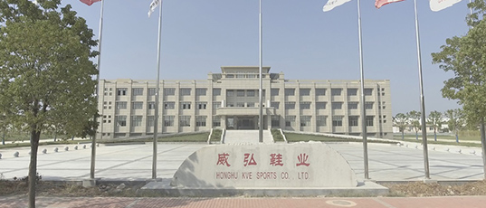 腾龙集团(中国)有限公司官网