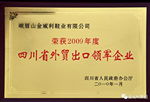 腾龙集团(中国)有限公司官网