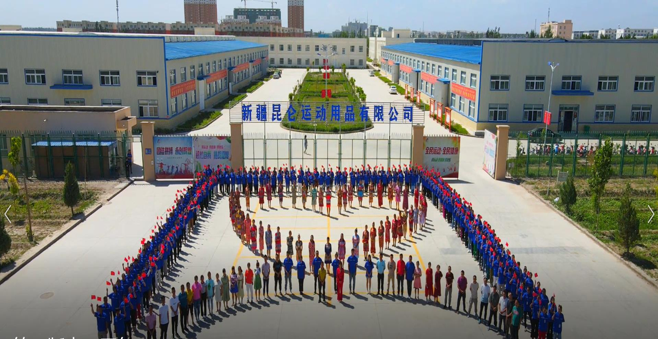 腾龙集团(中国)有限公司官网