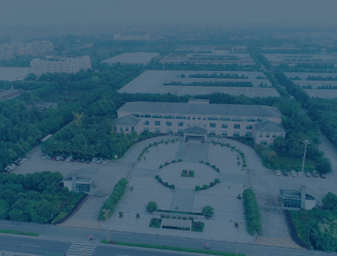 腾龙集团(中国)有限公司官网